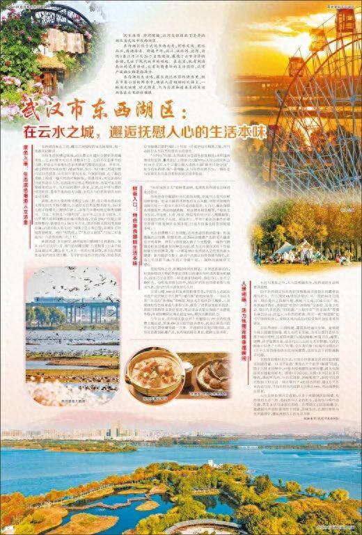 武汉市东西湖区：在云水之城，邂逅抚慰人心的生活本味