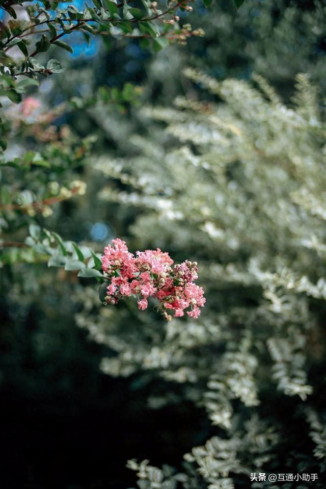 镜头评测|深光SG-image 35mm F0.95：用魔法般的虚化与光斑