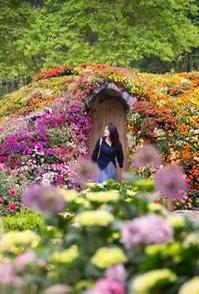 大桥交响诗：江城天际线的钢铁变奏曲