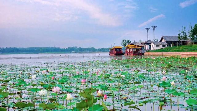 品味四季 乐享济阳：济阳探索全时全域沉浸式文旅新路径