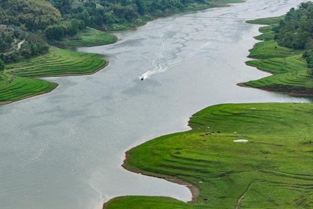 一半草色一半江水 三峡库区消落带春日焕新勾勒诗意田园画卷