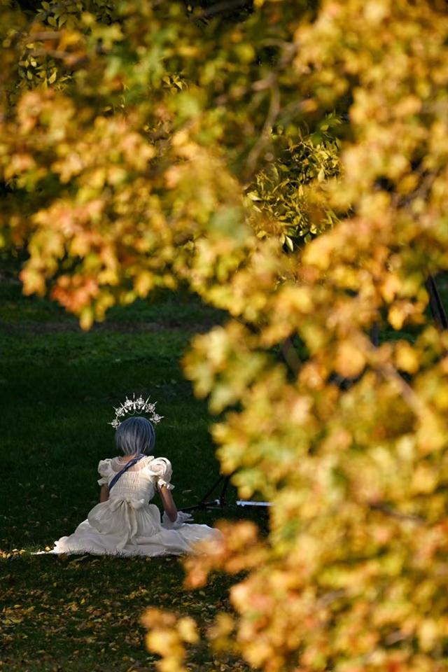 泉城公园绘秋日盛景，市民游客打卡忙