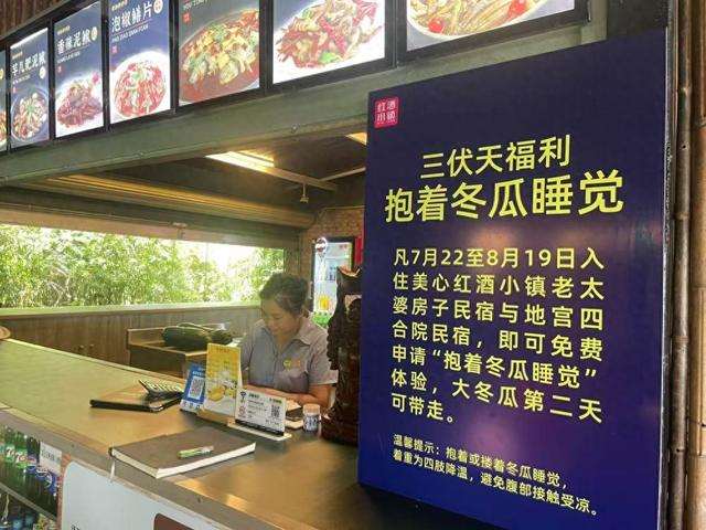 抱冬瓜睡觉可防暑降温？重庆民宿赠青皮冬瓜当“天然空调”