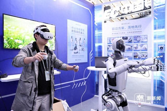 在乌镇，看见万物生长