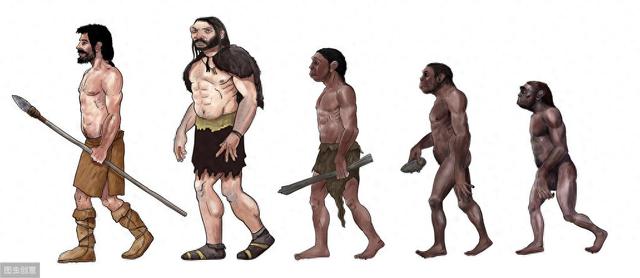 遗传算法与工程优化（遗传算法组合优化算法）