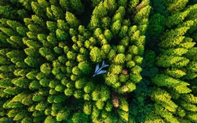 江岛崇明，上海人最后的诗和远方