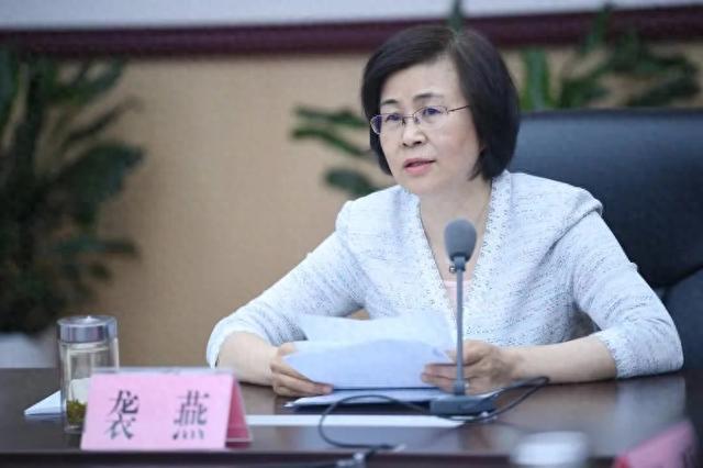 中央巡视期间，袭燕主动投案