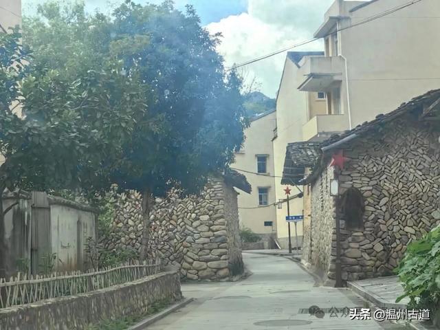 温州这个古镇不仅山水环绕、人文荟萃，更有着丰富的红色文化资源