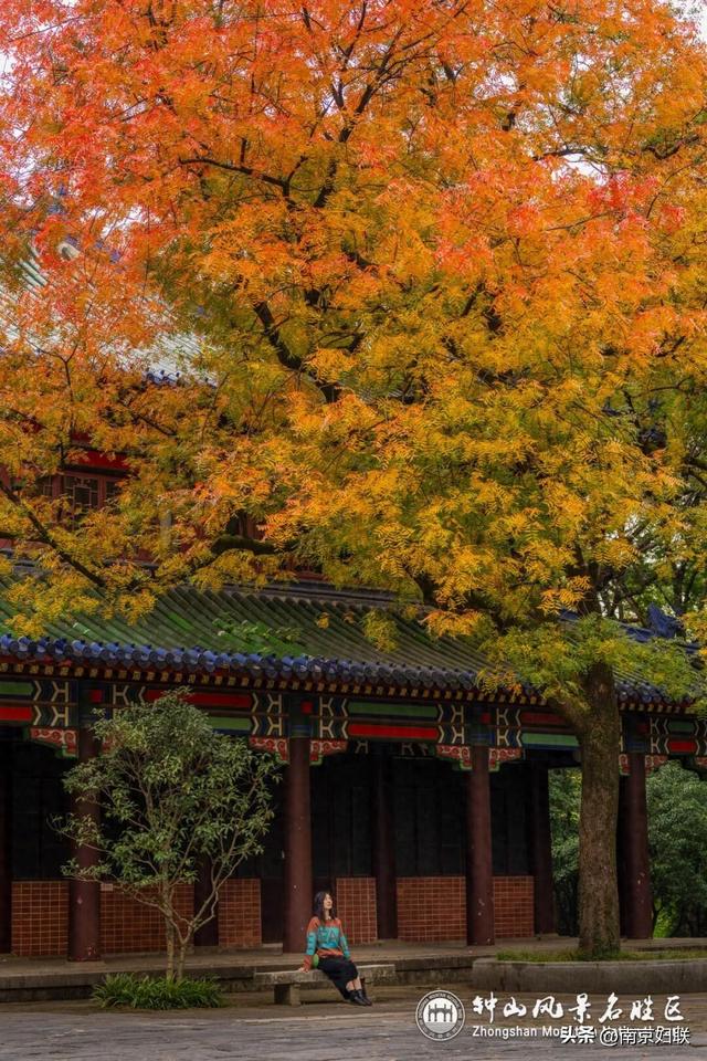 给个准信！盼了又盼的秋日“顶流”全部上线