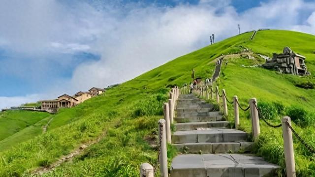 杨海蒂：无双毕竟是家山