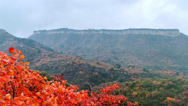 雾锁风挡山，红叶引客来