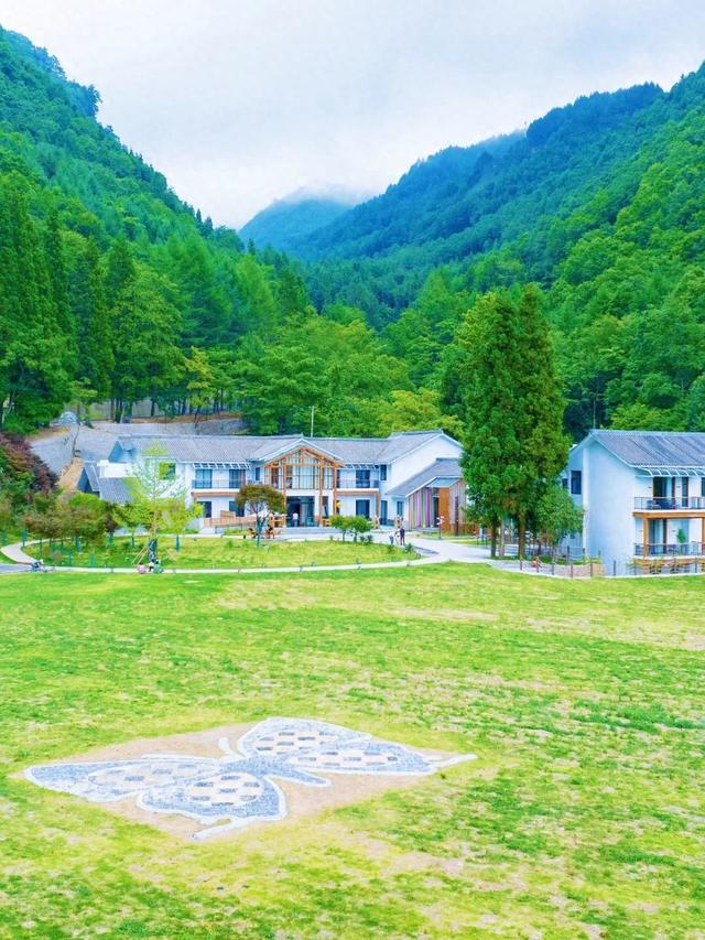 旺苍县蝶心谷露营基地开门迎客 打造盐井河峡谷生态度假新体验