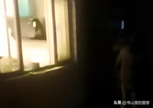 狗咬人风波升级：监控流出，谎言被揭穿，申家姐姐一个决定成关键