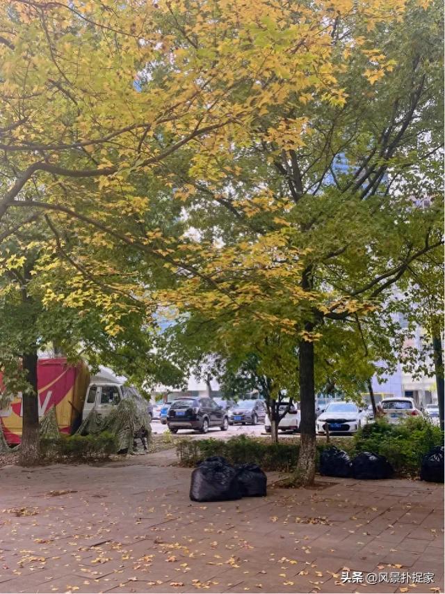 南昌的晚秋，风景美如画