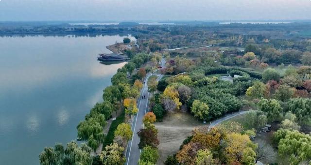 谁说初冬只有萧瑟？来太白湖新区解锁绚烂生机打卡地