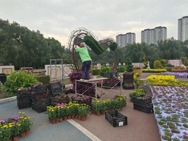 首次引进七彩炫菊！14日就来哈尔滨劳动公园看菊花展吧