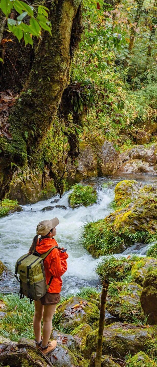 秋假免门票！抓住秋天的尾巴~来龙苍沟秋假赏秋领限定奖牌！