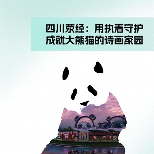 四川荥经：用执着守护成就大熊猫的诗画家园