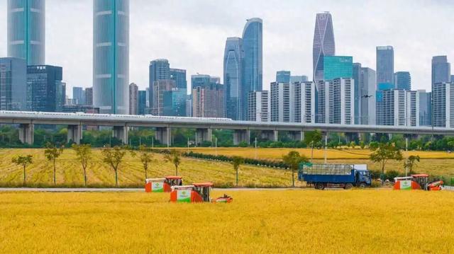 倒计时1天！来稻田CBD，觅都市桃花源