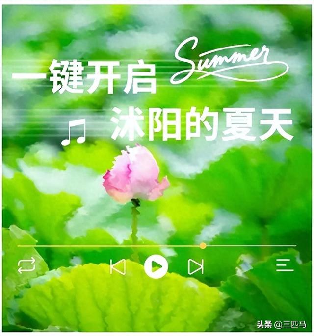 夏日的沭阳是一首流动的诗
