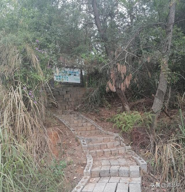 广西南宁市武鸣区深山里有战国古墓群，数量庞大极为罕见