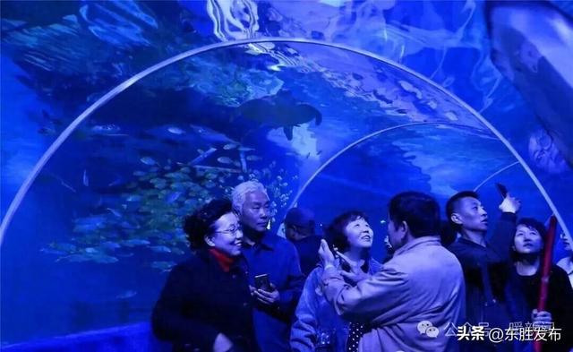 10月27日-29日，这些人免费游鄂野、海洋馆→
