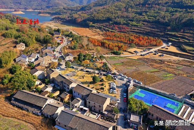 古村、古道、古树群、红杉林，网红村庄比城市还热闹
