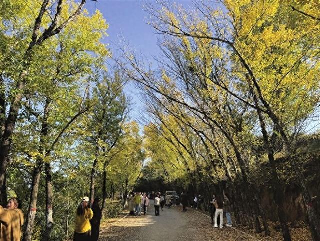 太原：斑斓秋色 美景入画