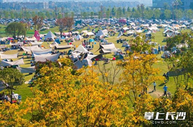 来大泽湖！乐享周末好时光｜组图