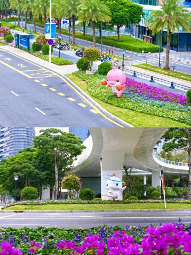 宝安“上新”了，等你来“开箱”！