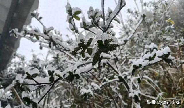 一夜入冬！广东"速冻模式"今晚开启，0℃霜冻+冰雪美景齐上线
