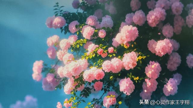 烟火织岁月，微光暖人间，心向暖阳自芬芳