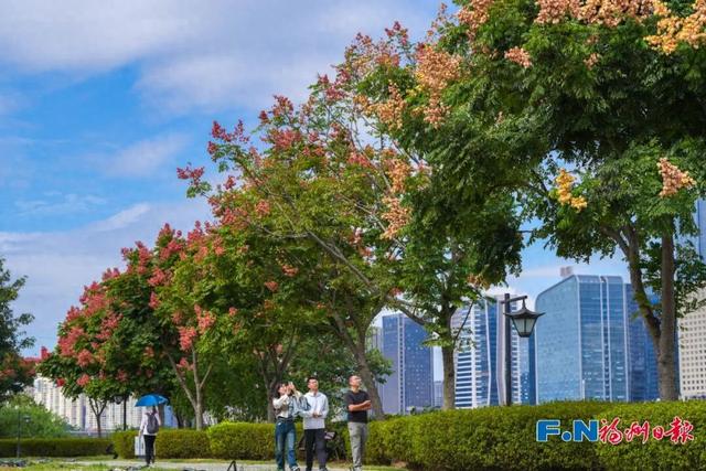 美得像春天！被福州的“蓝绿”治愈了！