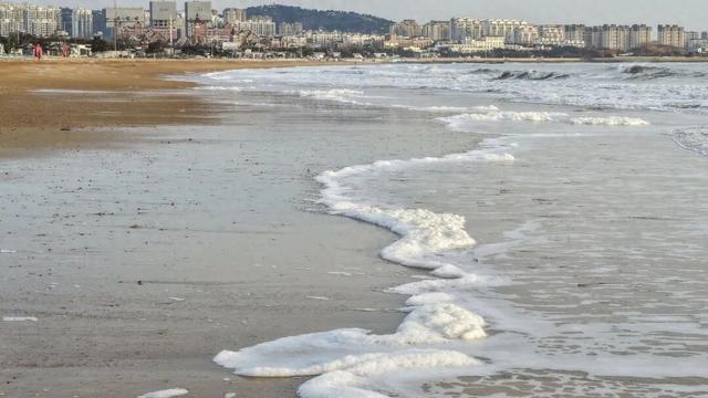 今早实拍！日照海边结冰了！低温还要持续几天？