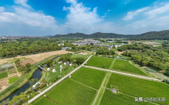 地里逛逛！在无锡渐火！