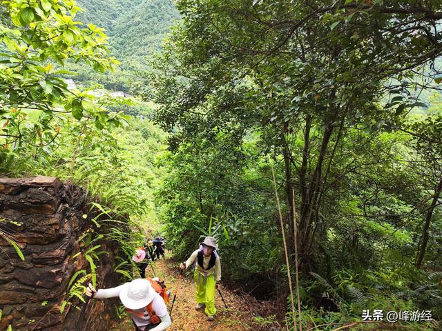徒步信宜十二灶顶，遇暴雨被淋落汤鸡，却邂逅雨过天晴的美景