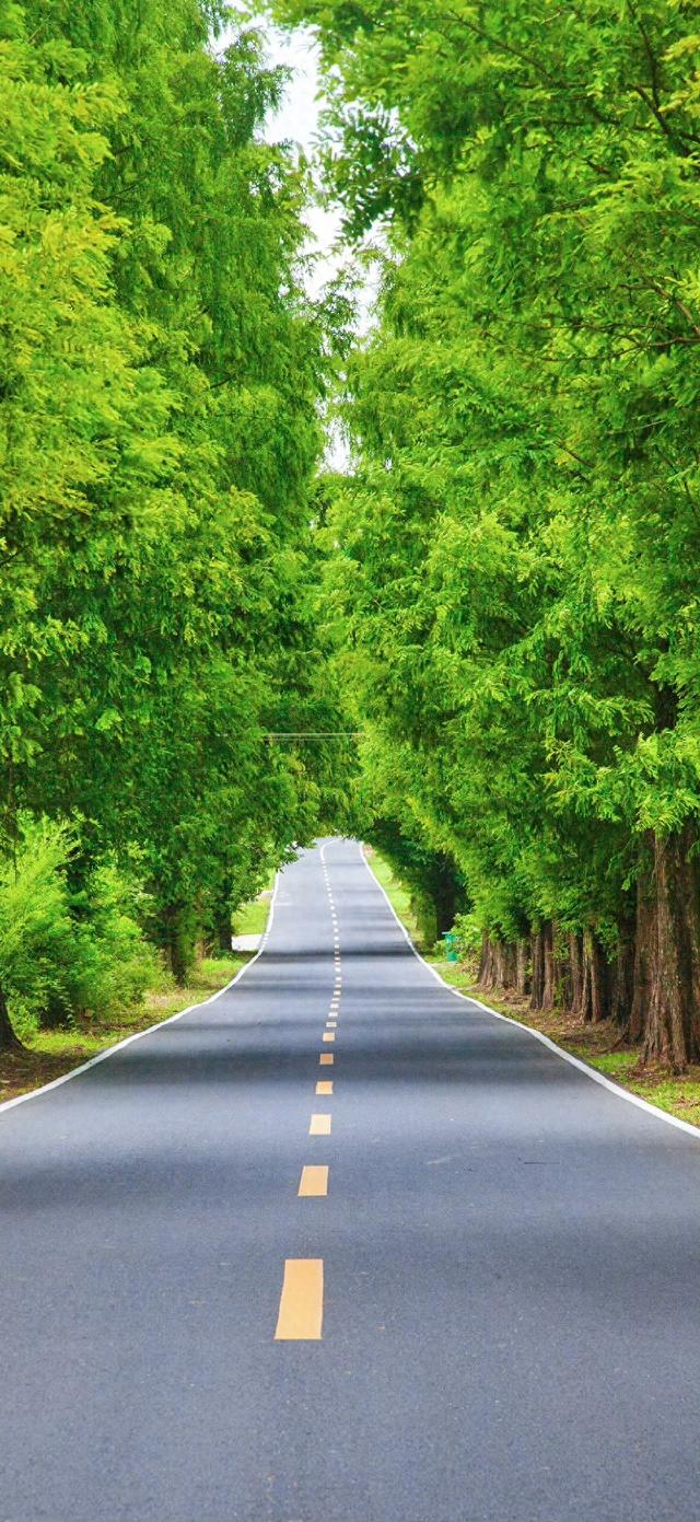 风景壁纸