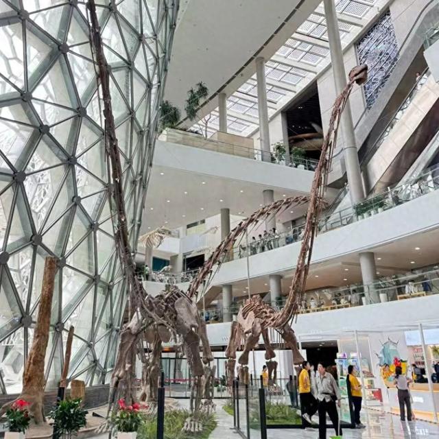 狂欢到底！“国庆中国龙奇妙夜”·第七弹来啦！