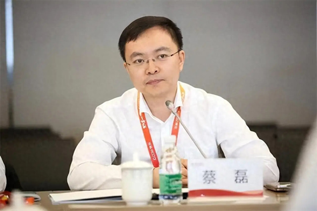 蔡磊妻子不再隐瞒！自曝如今“真实处境”，资金问题只是冰山一角