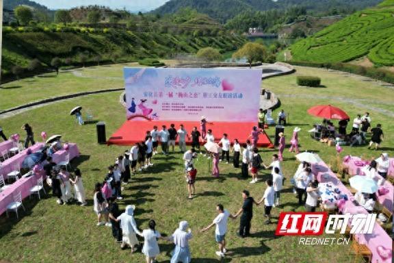 七夕茶乡漾爱意 安化 “梅山之恋” 职工联谊解锁浪漫新体验