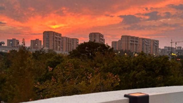 红叶+落日！普陀这几处宝藏打卡地美翻啦！