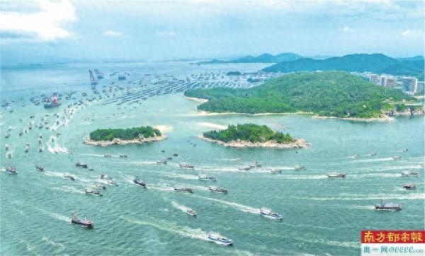 向海追“鲜”!跟着“开渔节”游广东