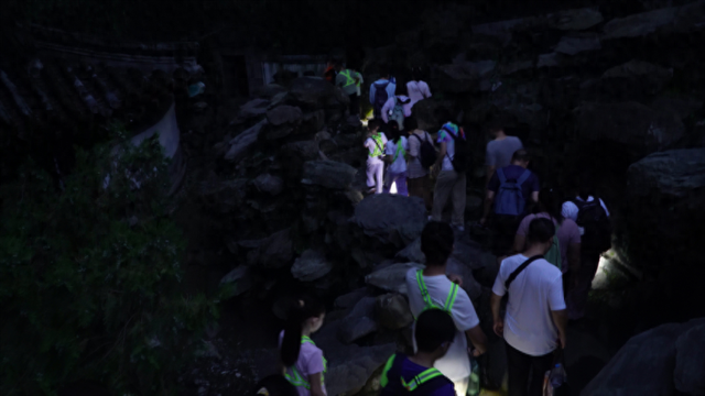 “香山奇妙夜”有这些发现