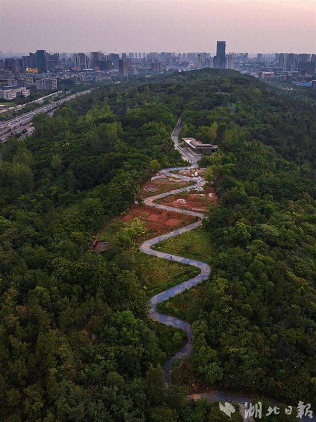 光谷黄龙山：有条山路十八弯的绿道