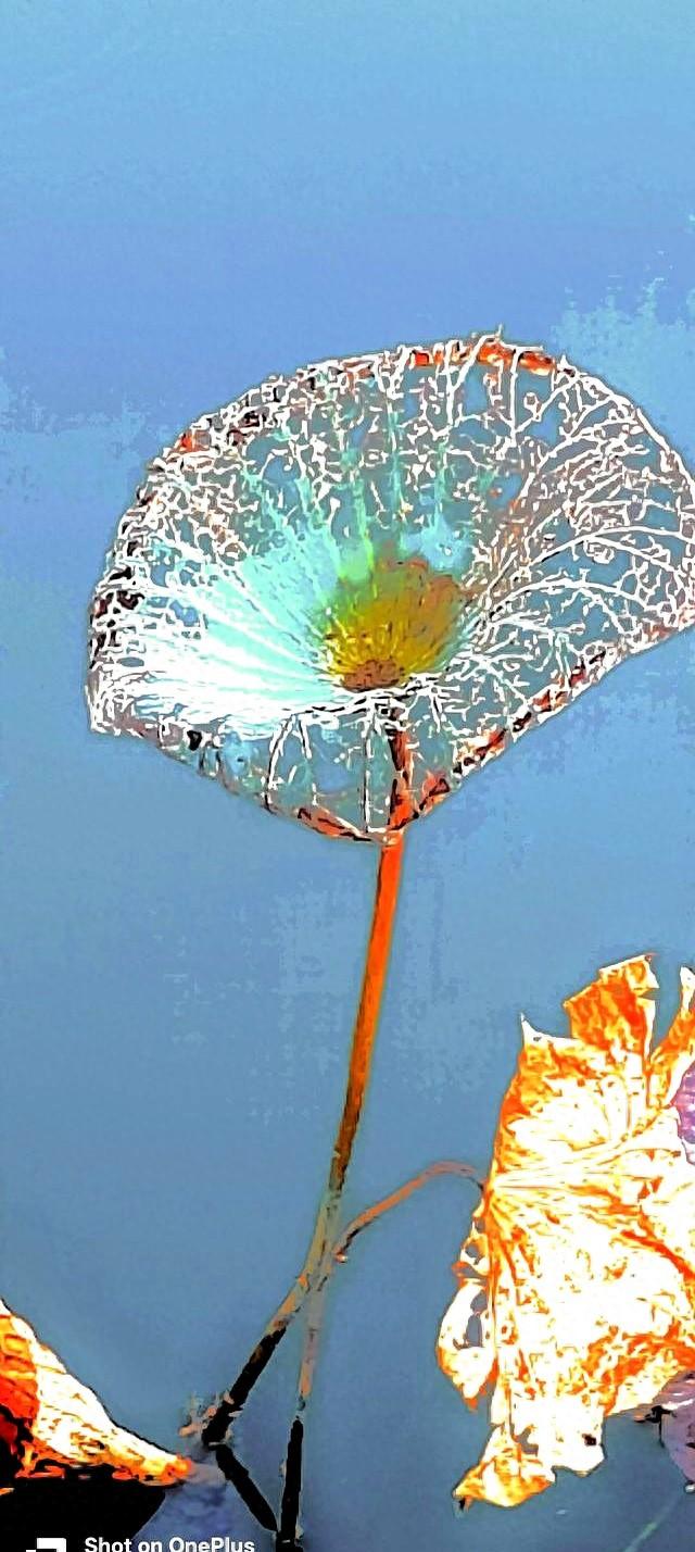 太极发劲不用硬拼！找准“腰隙”总开关，常练劲如潮涌