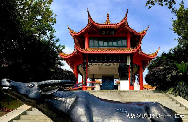 再逛沅江南洞庭湖湿地公园：十年禁渔后，洞庭湖的新模样