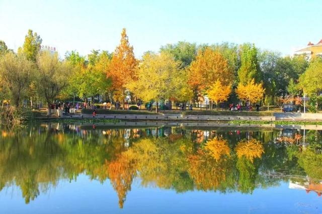 坊子区7处“落叶缓扫”超出片，快来打卡~