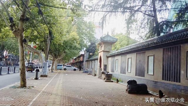 千年古墓藏温县，身份至今是谜