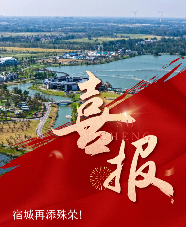 喜报！宿城再添殊荣！