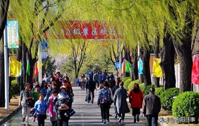 汾阳往事｜殷维明：杏花村游记——汾酒工业园林赏杏花